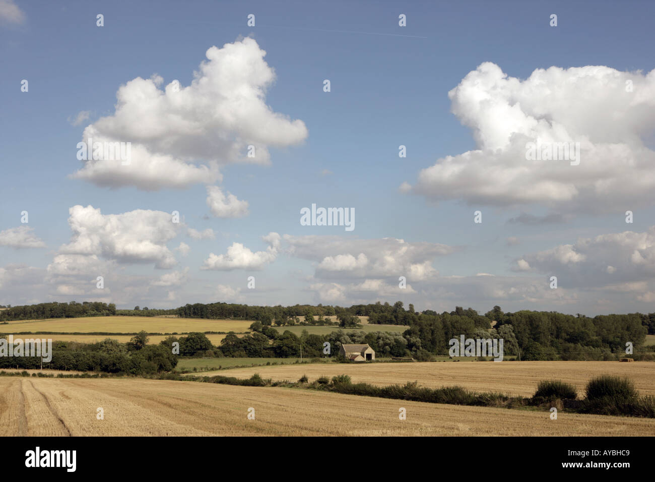 I fantastici Cotswolds lato paese nella valle Windrush su un fine giornata d'estate. Vicino a Northleach Foto Stock