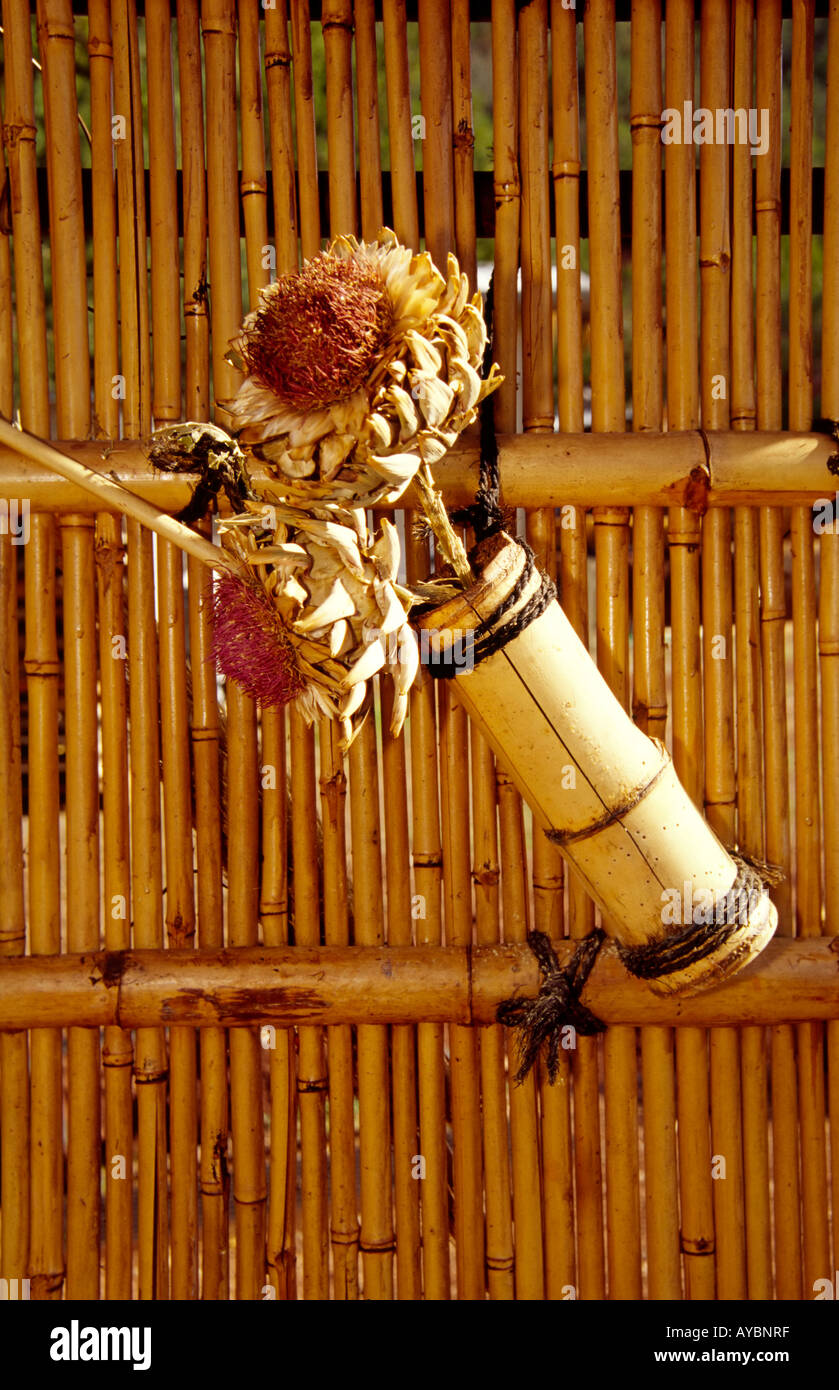 Arte di bambù in Kingston, Nuovo Messico. Foto Stock