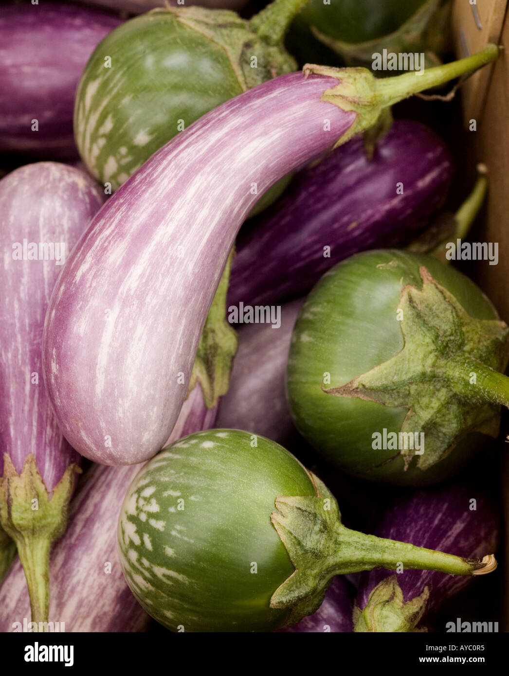 Melanzane colorate al paese mercato degli agricoltori, Westport, Connecticut Foto Stock