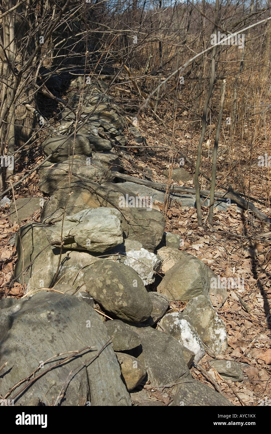 Vecchio e cadente muro di pietra nel New England campo. Foto Stock