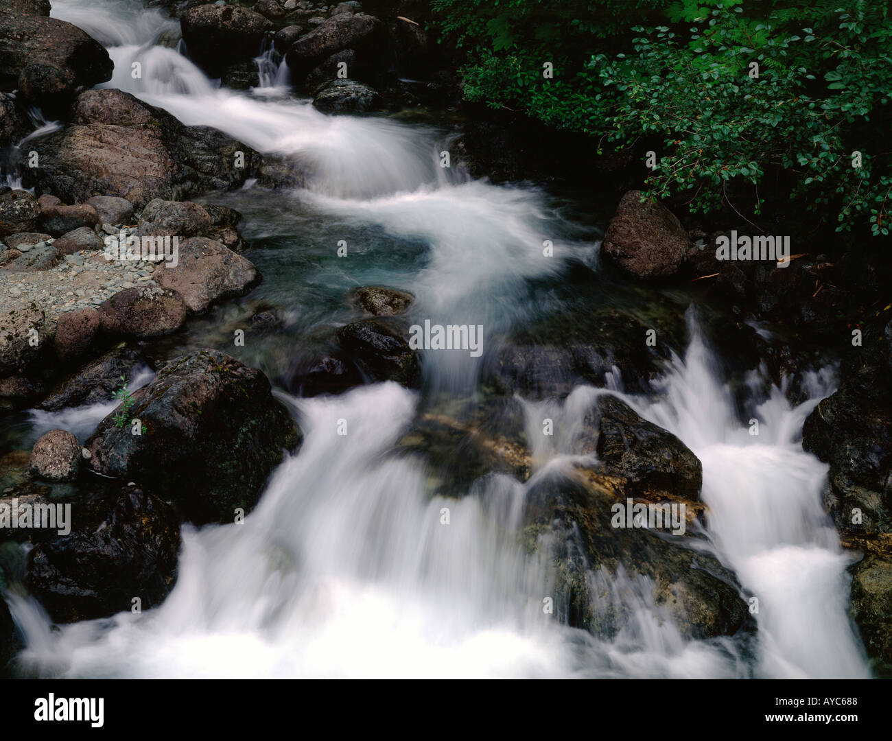 Acque che scorrono impetuose cascata su grossi massi in Mount Baker Foresta Nazionale di Washington Foto Stock