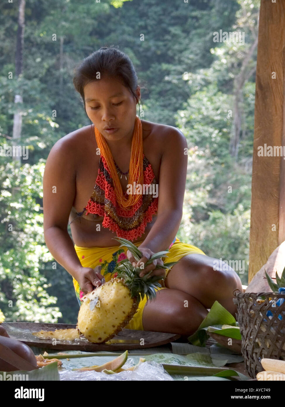 Embera Drua donna si stacca un ananas per la sua famiglia. Embera Drua, Repubblica di Panama, America Centrale Foto Stock