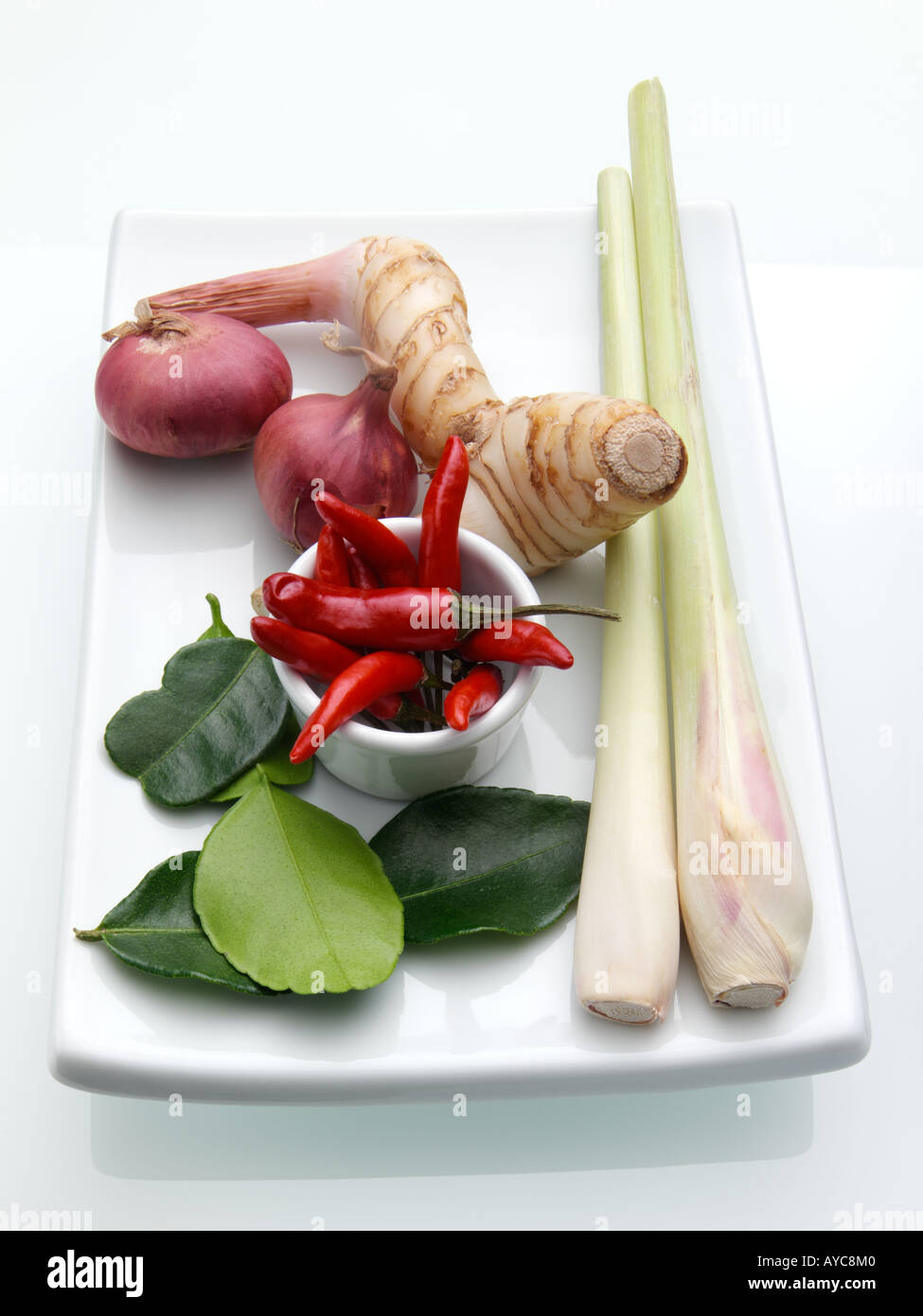 Un piatto bianco di Thai ingredienti lemon grass galangal peperoncini di scalogni e foglie di Kaffir spezie Foto Stock