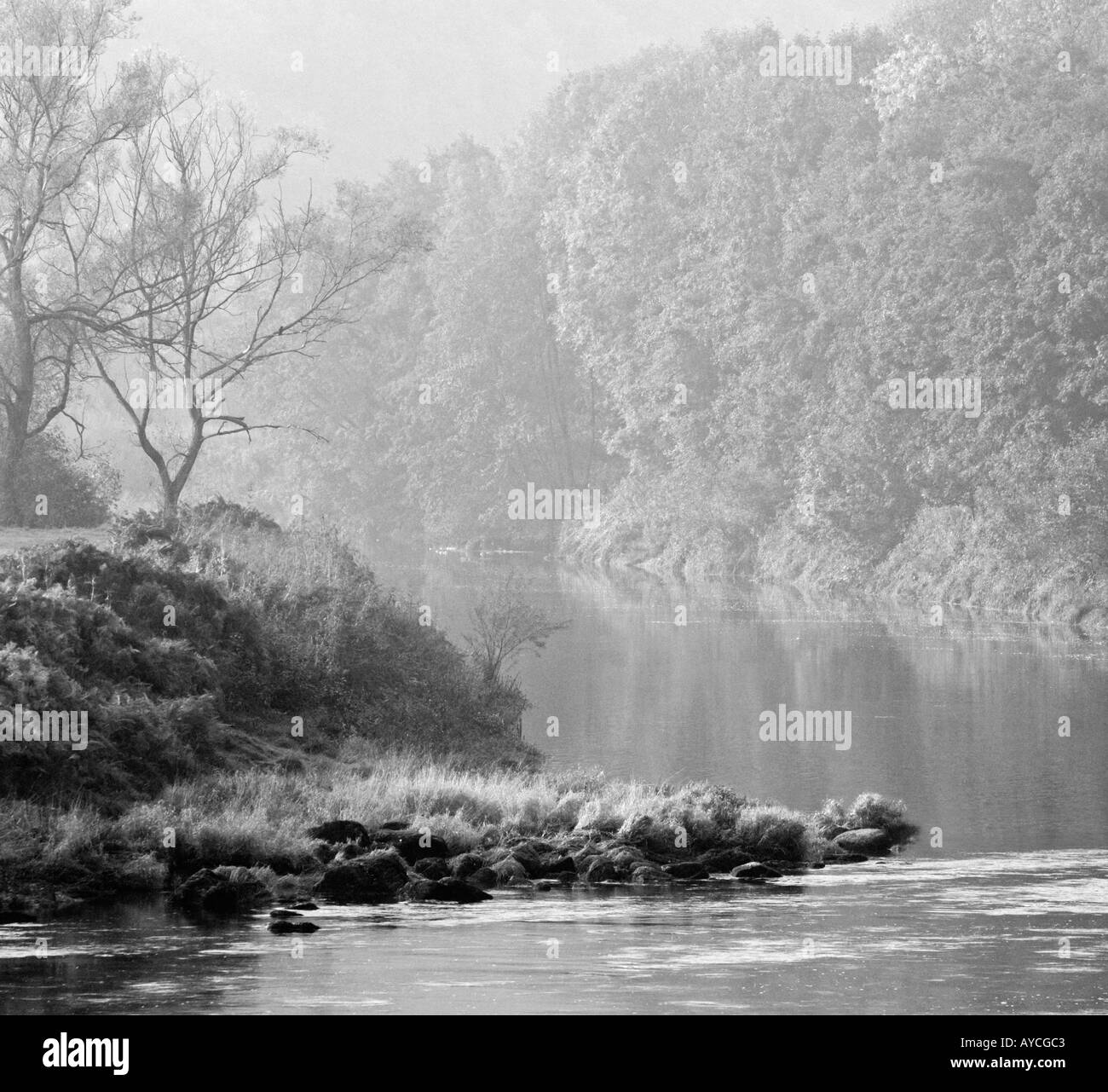 Splendido e tranquillo fiume che scorre attraverso la campagna di autunno nei primi giorni di sole di mattina e la nebbia Foto Stock