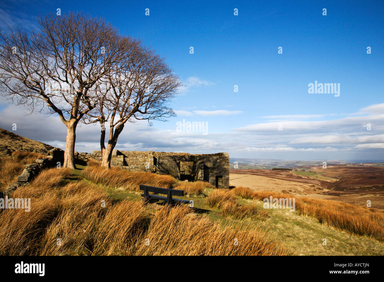 Top ambiti Haworth Moor West Yorkshire Inghilterra Foto Stock
