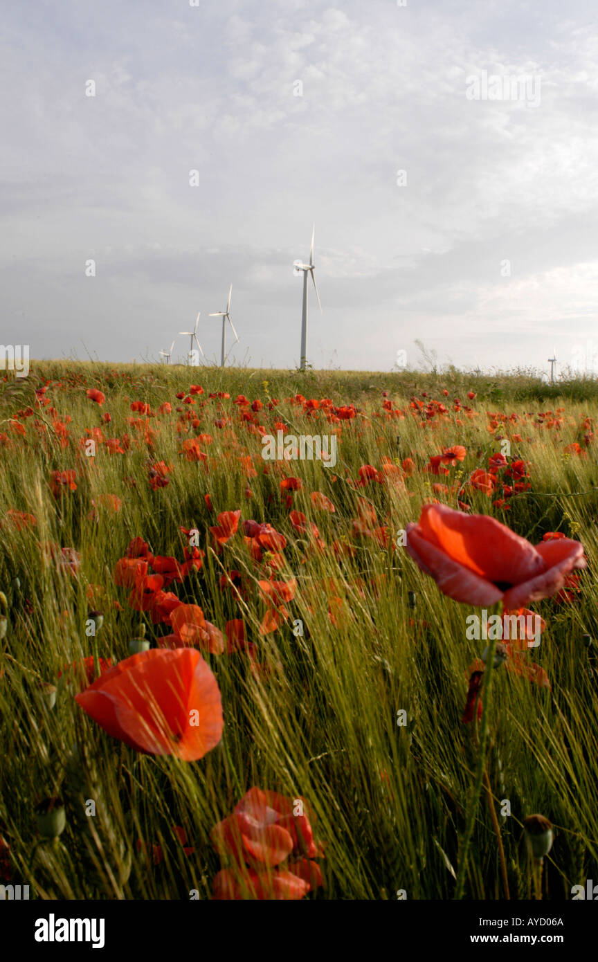 Spagna La Muela vicino a Zaragoza turbine eoliche guarda bello incorniciato con papaveri in un campo Foto Stock
