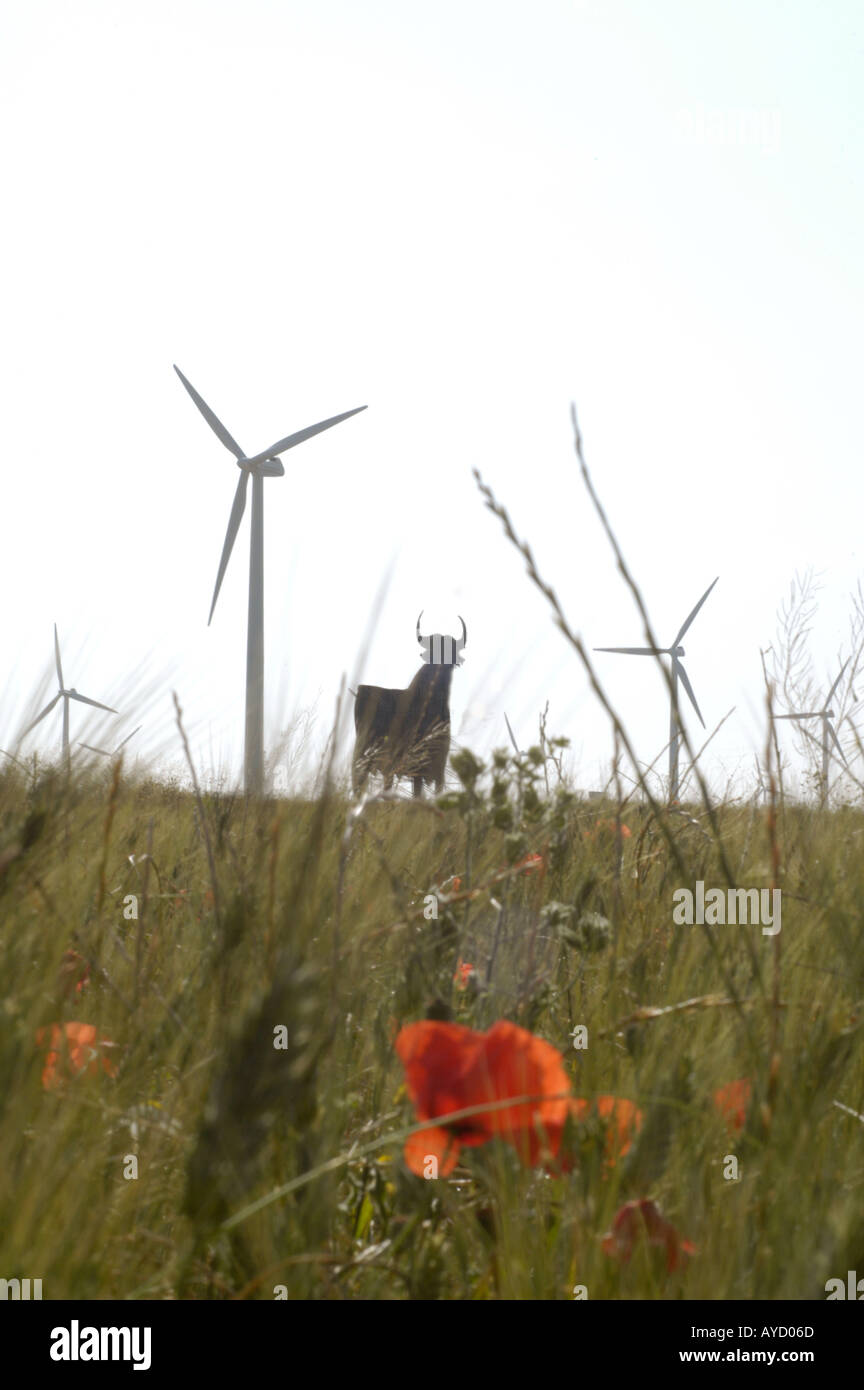 Spagna La Muela vicino a Zaragoza turbine eoliche guarda bello incorniciato con papaveri in un campo Toro figura in background Foto Stock