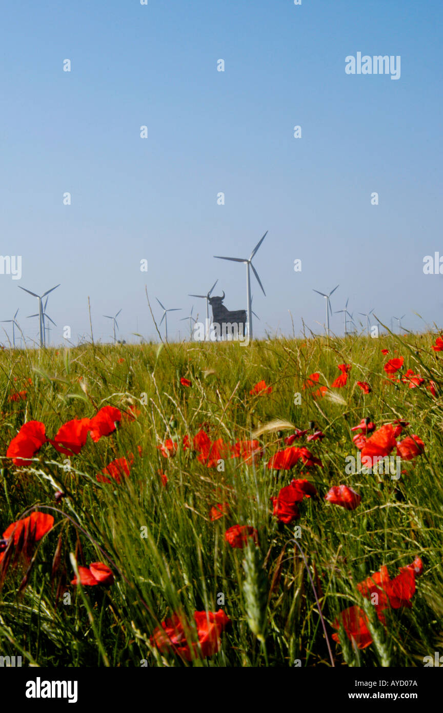 In Spagna, La Muela vicino a Zaragoza. Le turbine eoliche guarda bello incorniciato con papaveri in un campo. Osborne il Toro (bull) in background Foto Stock