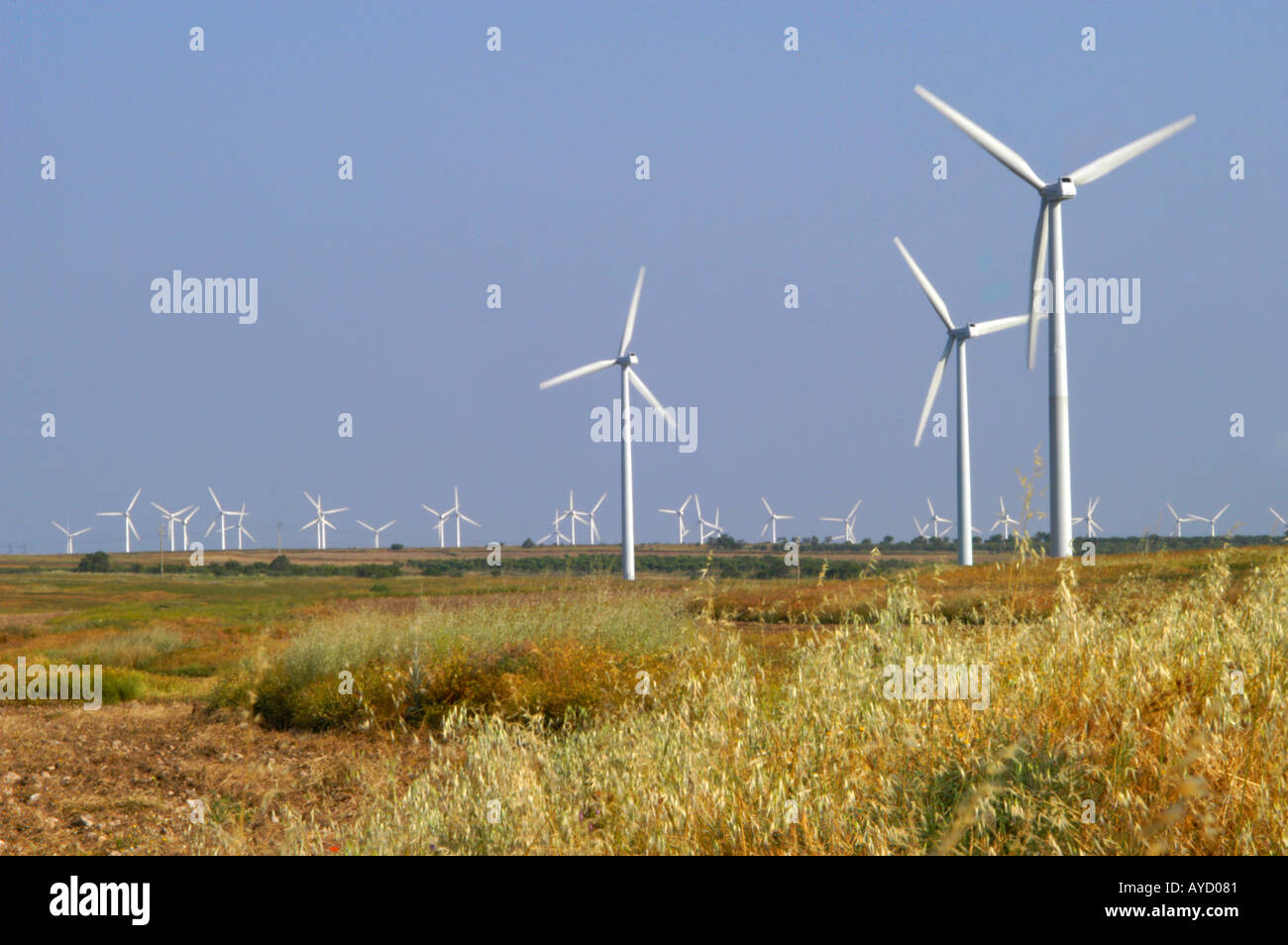 In Spagna, La Muela vicino a Zaragoza. Azienda agricola di turbine eoliche in campo oro Foto Stock