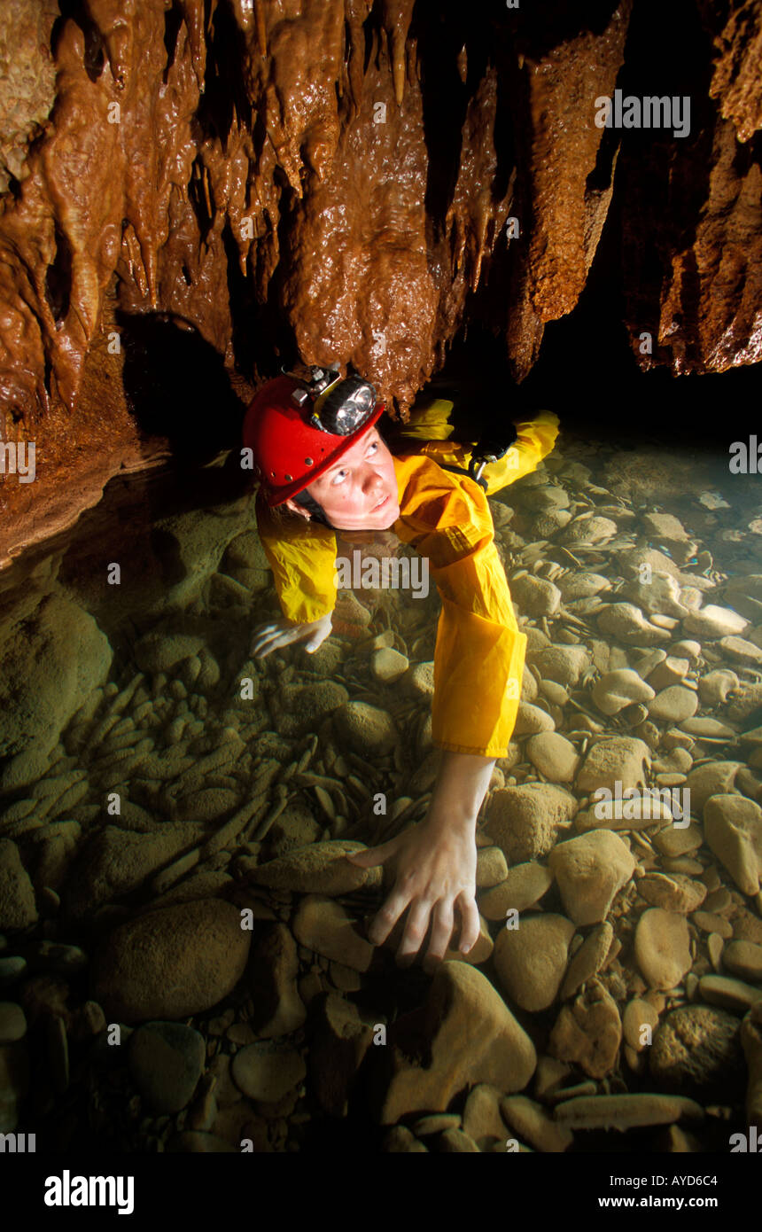 Femmina speleologo strisciando in acqua sotto la tenda di stalictites Belize America Centrale Foto Stock