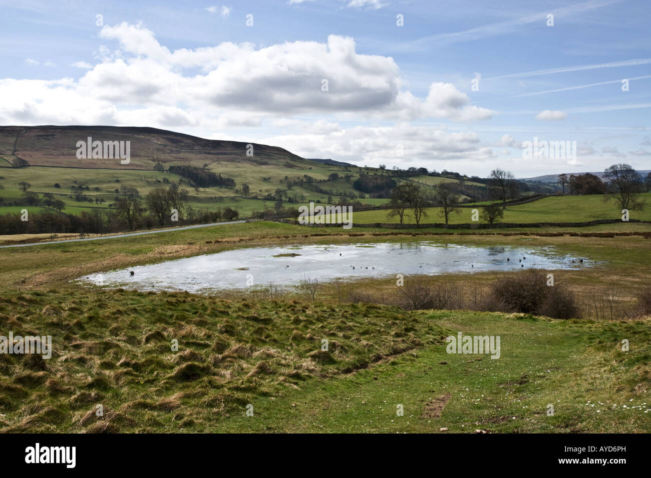Pinker è stagno, vicino Middleham, North Yorkshire Foto Stock