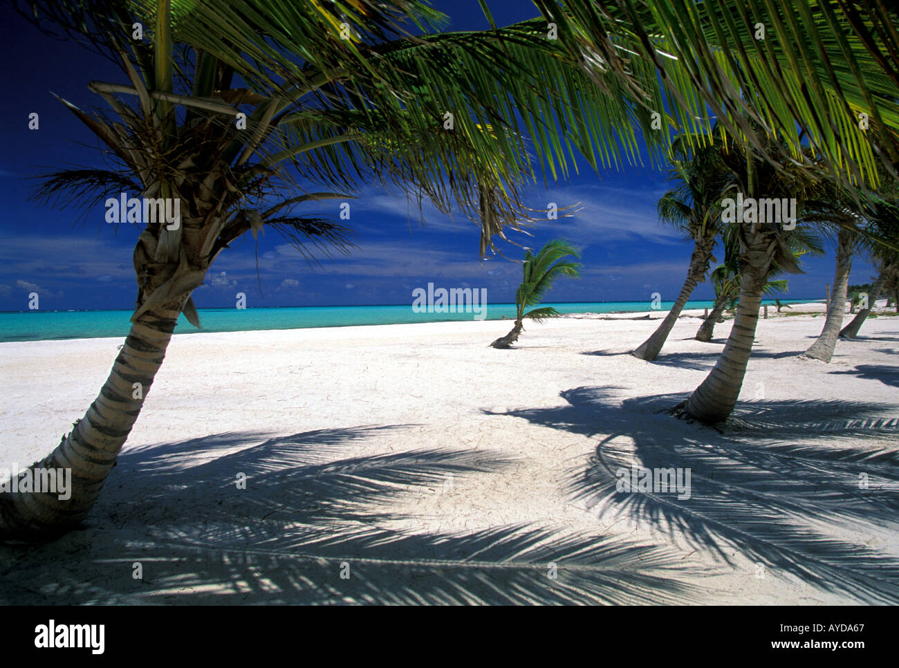 Repubblica Dominicana spiaggia Playa Juanillo bedach Cap Cana zona di Punta Cana Foto Stock