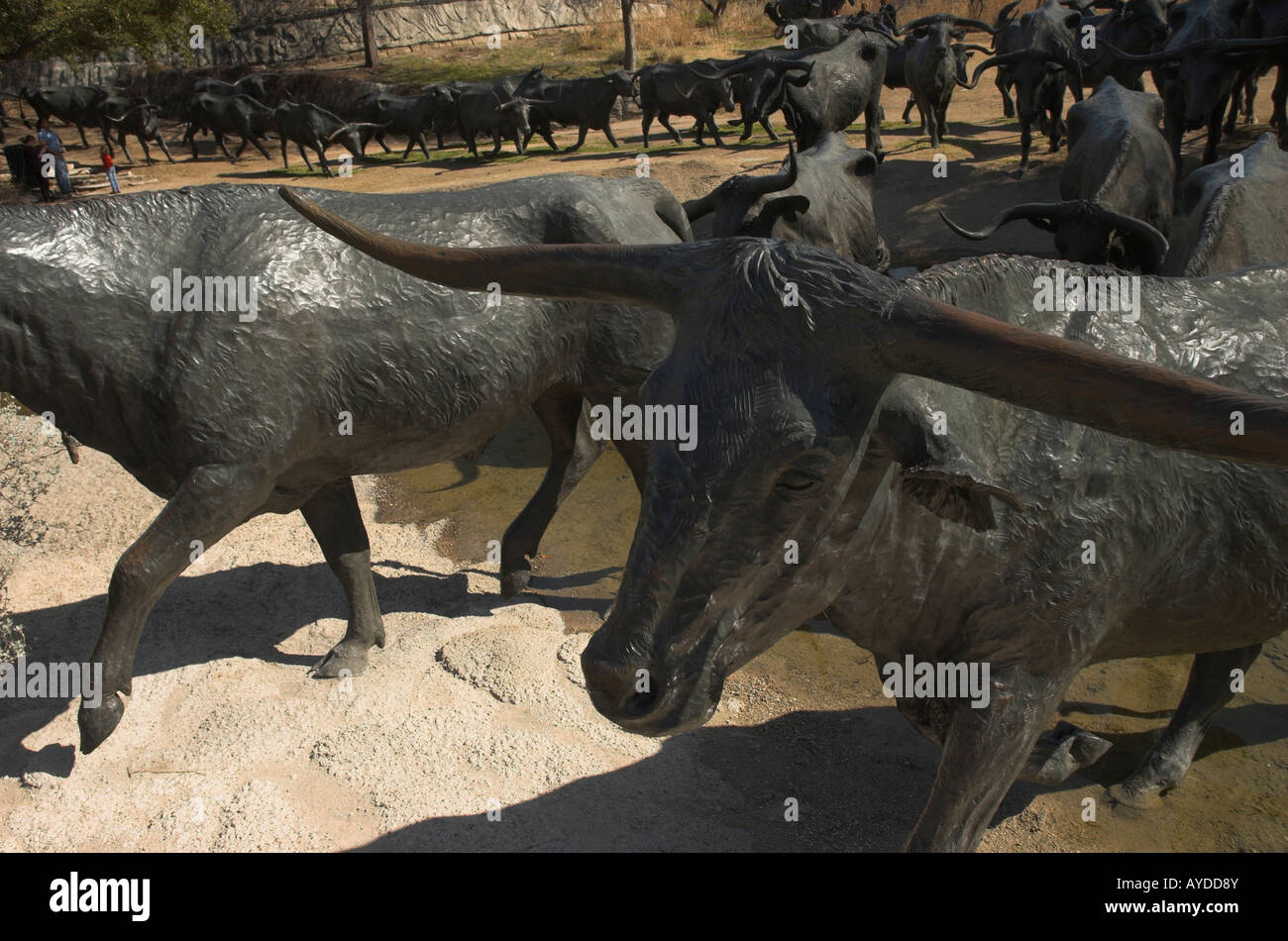 Statua di Longhorn bovini in Dallas, Texas Foto Stock