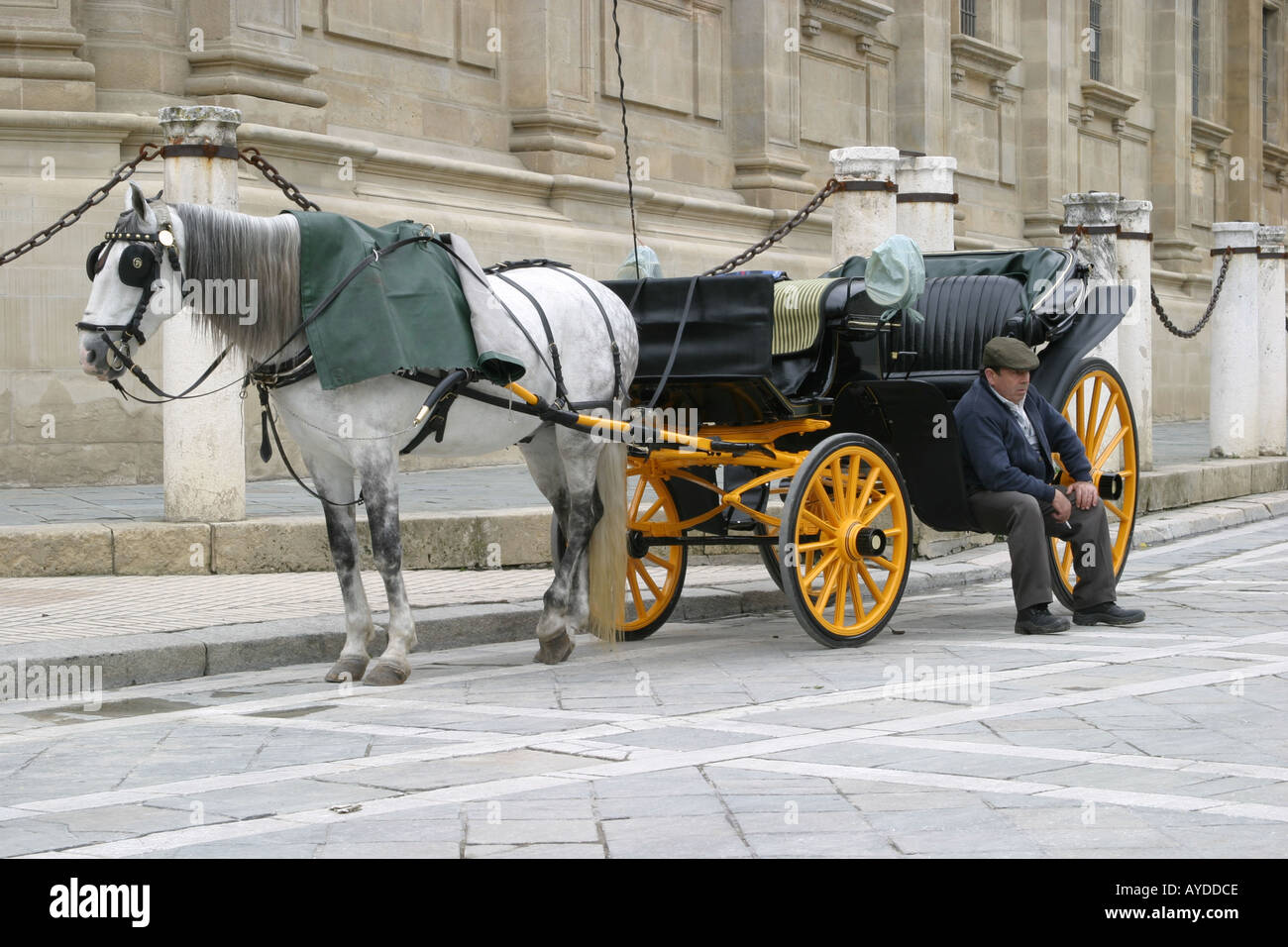 Cavallo e Carrozza a Siviglia Spagna Foto Stock