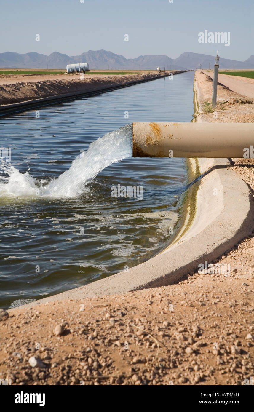 Piedra Arizona acqua è pompata in canali di irrigazione in una fattoria nel deserto dell'Arizona Foto Stock