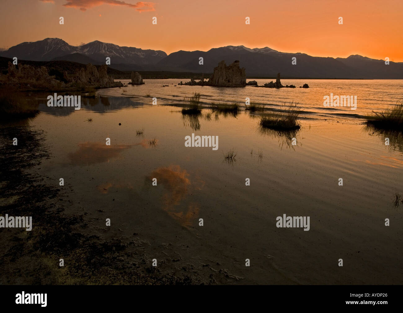 Lago mono lato est della Sierra Nevada vicino a Lee Vining a 6400 piedi famoso per i suoi pinnacoli di tufo Foto Stock