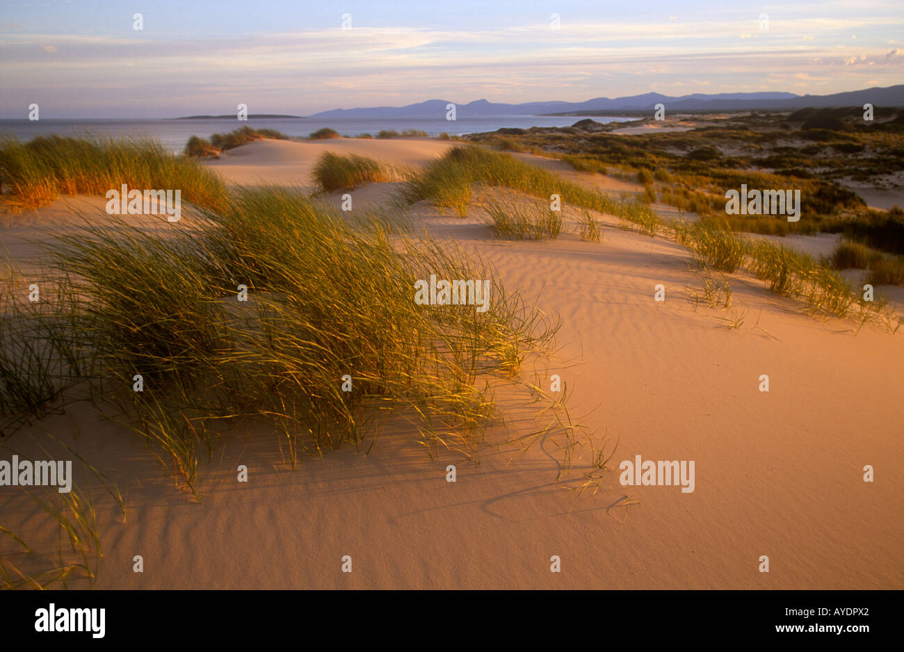 St Helens punto Stato Riserva di ricreazione, Capo Peron, , costa nord-orientale, Tasmania, Australia, orizzontale Foto Stock