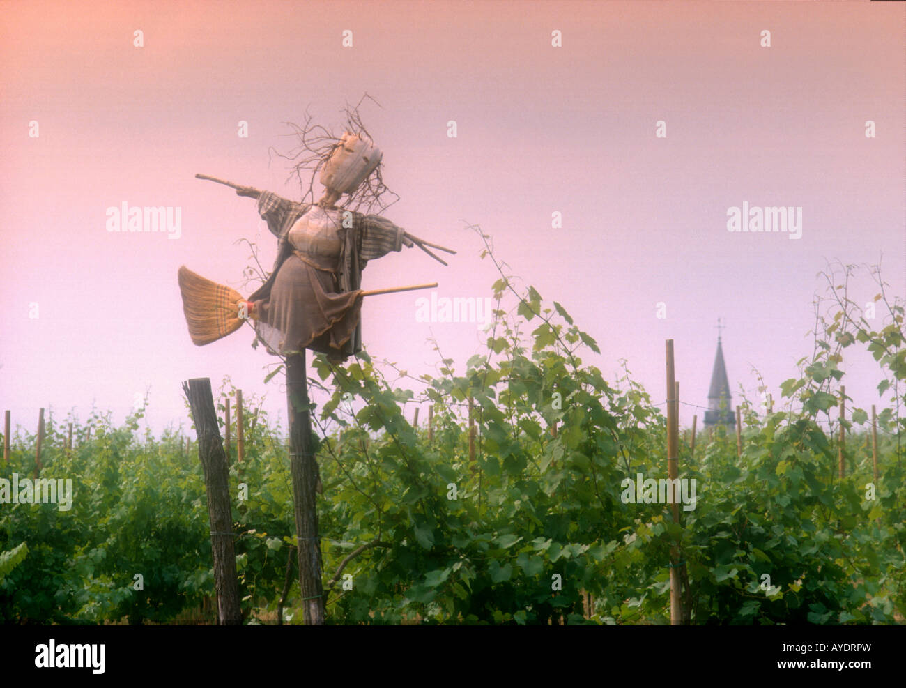 Lo Spaventapasseri in Tricesimo Grave Friuli Italia Foto Stock