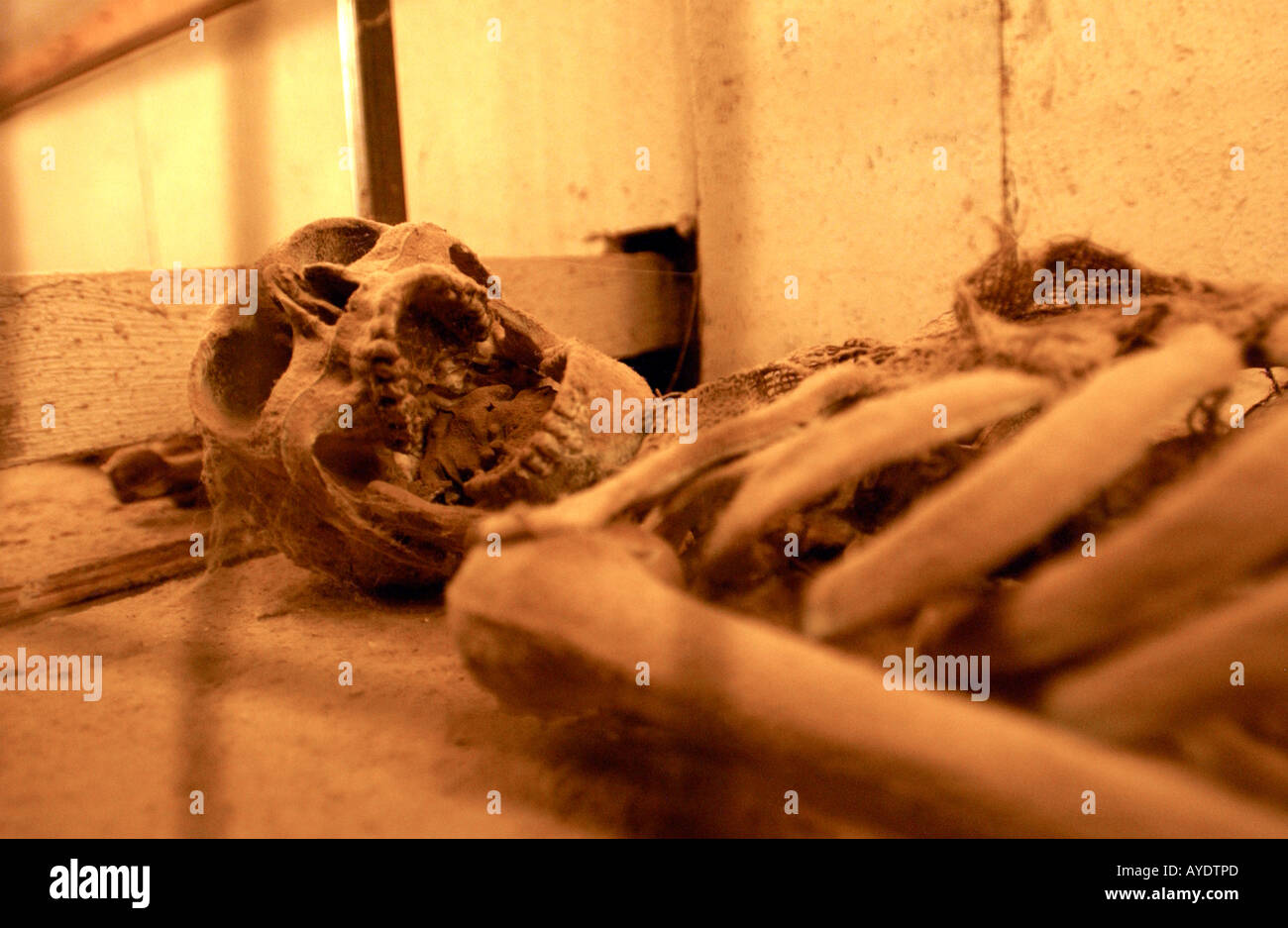 Immagini Haunted House foto da Gordon M Grant Foto Stock