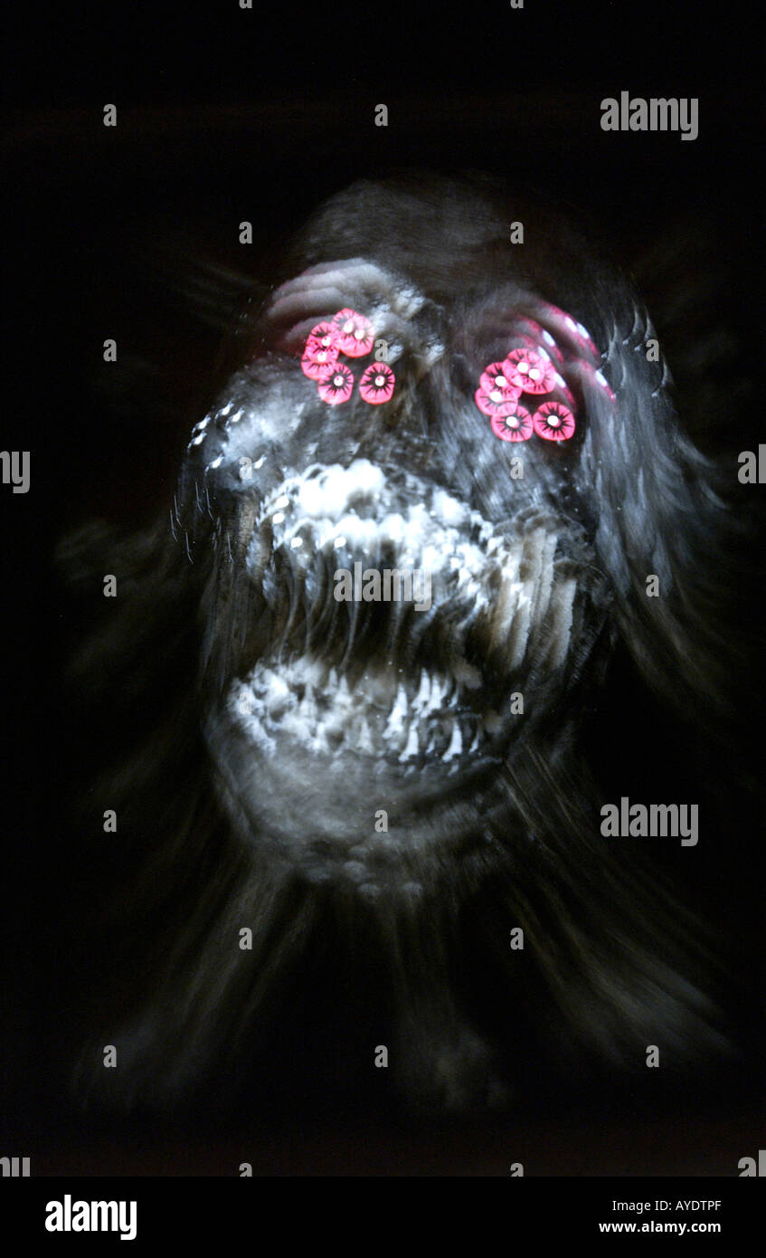 Immagini Haunted House foto da Gordon M Grant Foto Stock