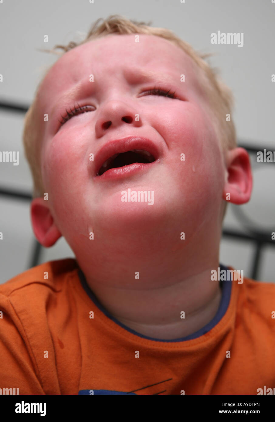 Il Toddler avente un tantrum Foto Stock