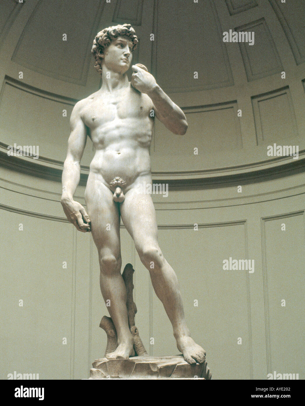 Firenze Italia David di Michelangelo nella Galleria dell'Accademia Foto Stock