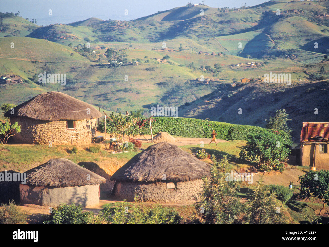 Vicino a Eshowe Kwazulu Sud Africa Zulu villaggio o kraal Foto Stock