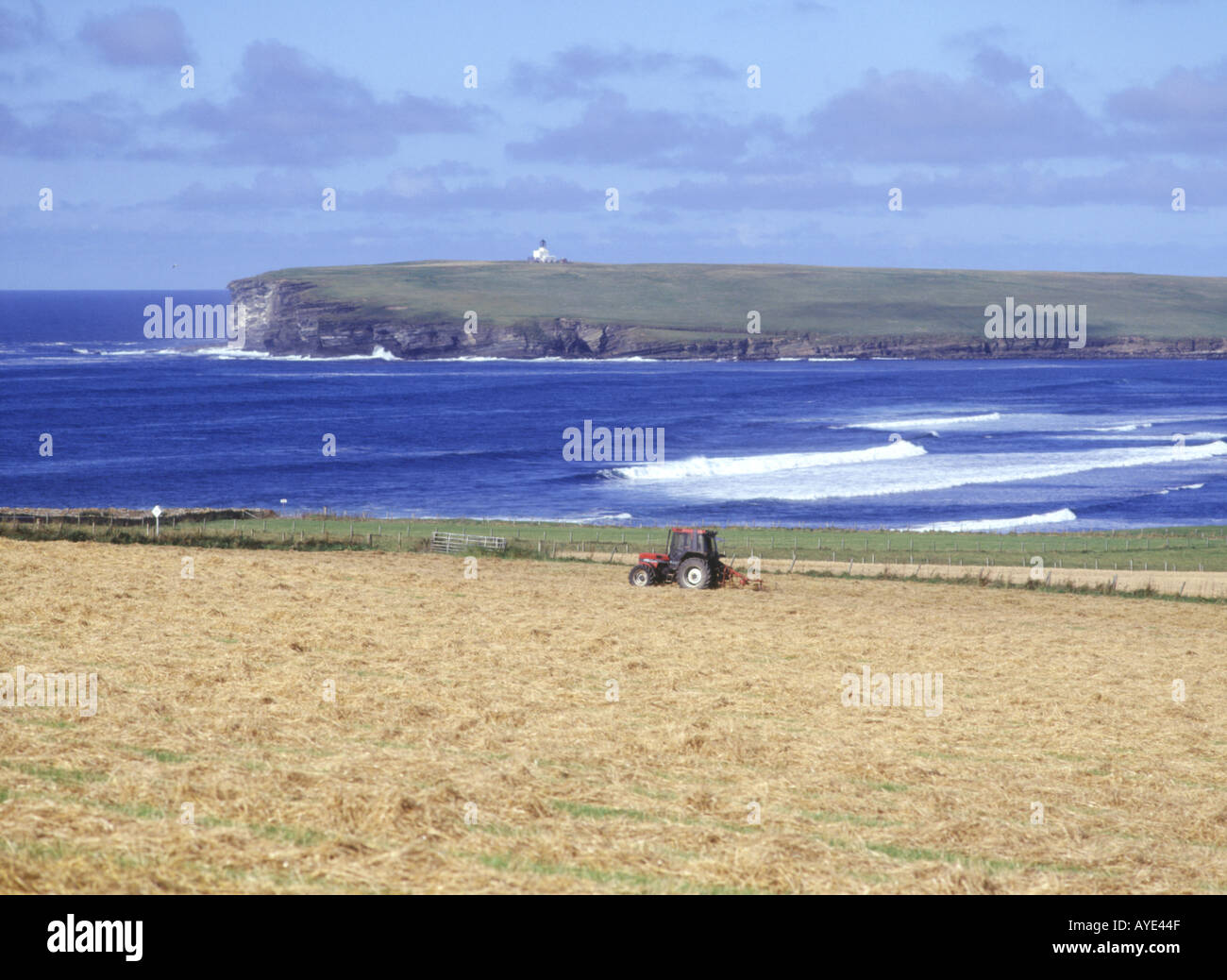 Dh Baia di Birsay BIRSAY ORKNEY trattore ruotando il fieno raccolto essiccazione del raccolto agricolo terreno coltivabile Scotland Regno Unito Foto Stock