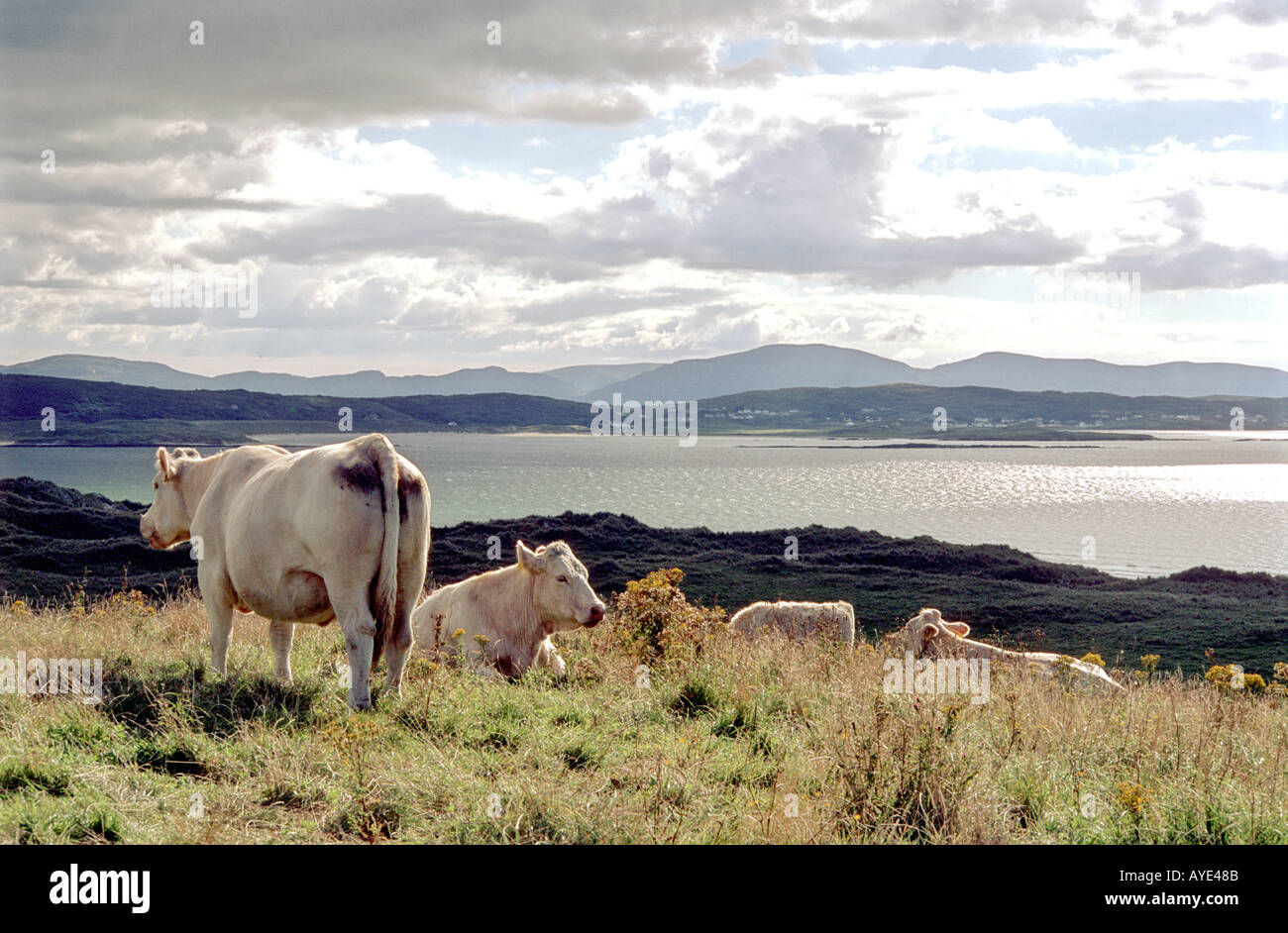 Vista scena Scenic Co Donegal Irlanda Foto Stock