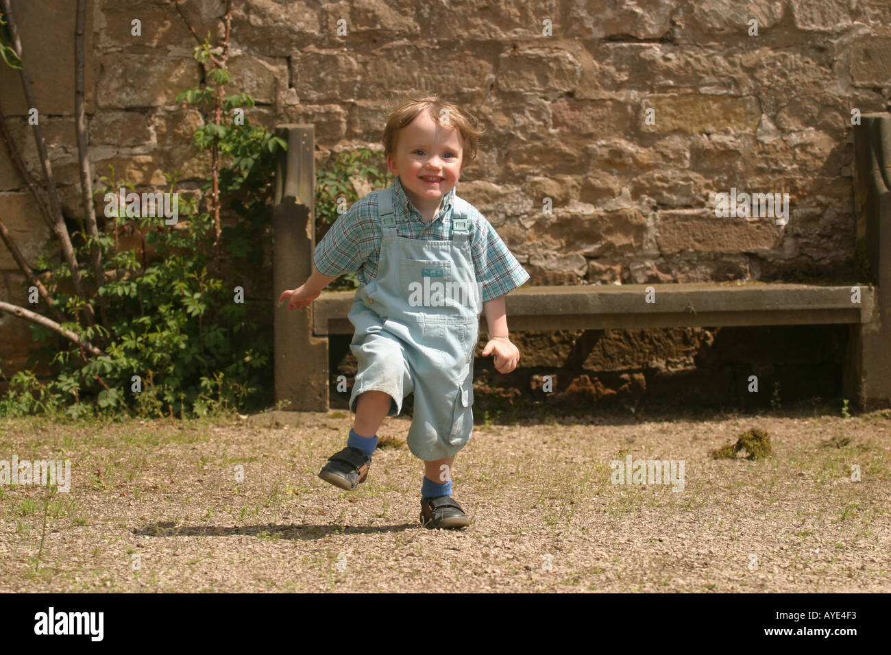 La Newstead Abbey ragazzo di età compresa tra i due nei giardini a Newark Foto Stock