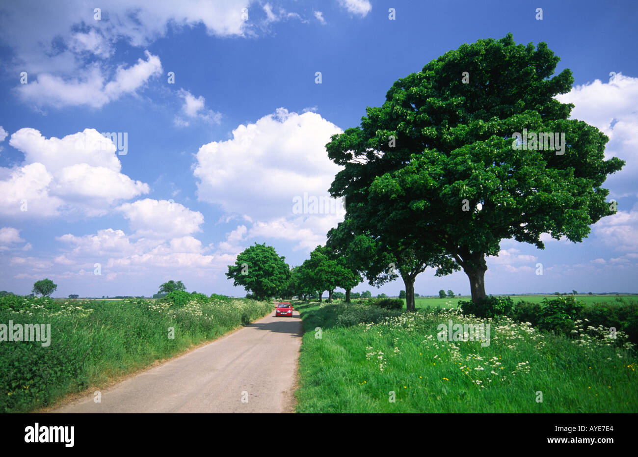 Lincolnshire fens fenland road nel paesaggio di Haconby nei pressi di Bourne e Spalding, Est Inghilterra, Regno Unito. Foto Stock