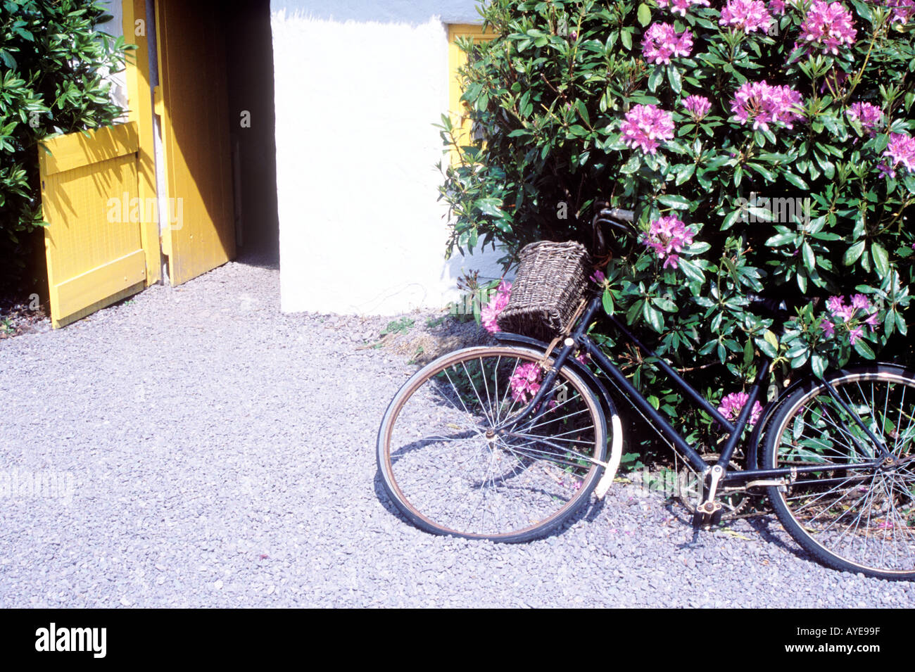 Al di fuori dell'operaio l'abitazione di Kerry Bog Village Glenbeigh Anello di Kerry, Irlanda Foto Stock