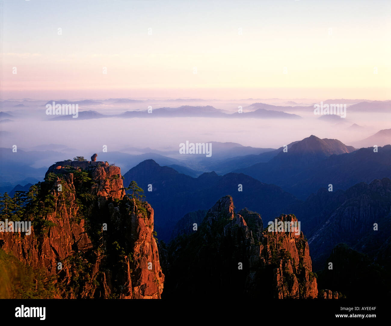 Il paesaggio del Monte Huangshan gialle di montagna al tramonto della provincia di Anhui Cina Foto Stock