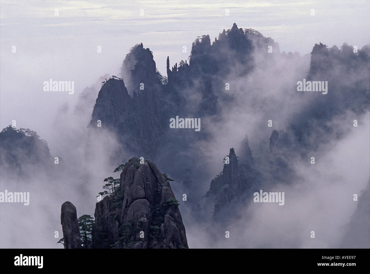Mt Huangshan gialle di montagna nella nebbia della provincia di Anhui Cina Foto Stock
