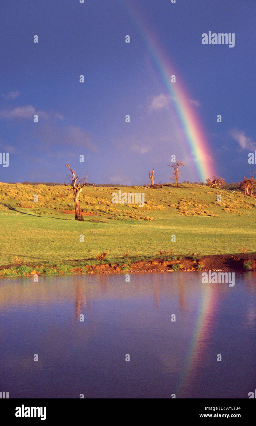 Rainbow riflessione vicino a Bothwell, altopiano centrale, Tasmania, Australia Foto Stock