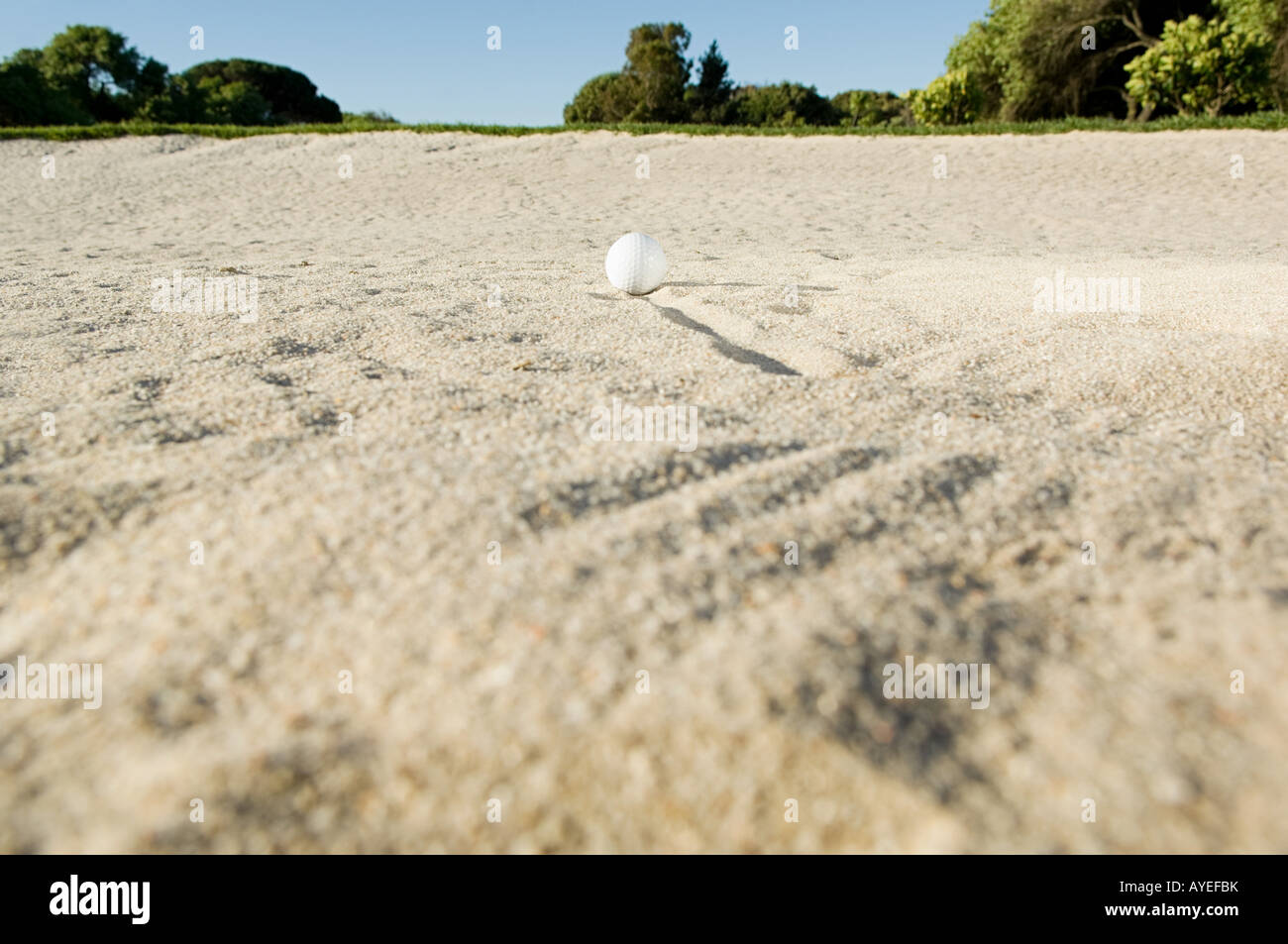 Una pallina da golf in una trappola di sabbia Foto Stock