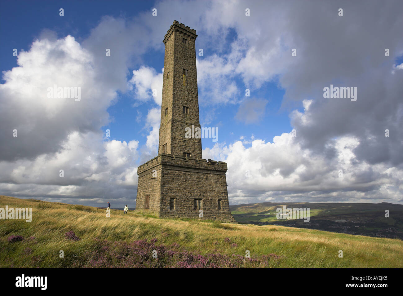 Torre Holcombe e heather in fiore nella tarda estate del Lancashire Regno Unito Foto Stock