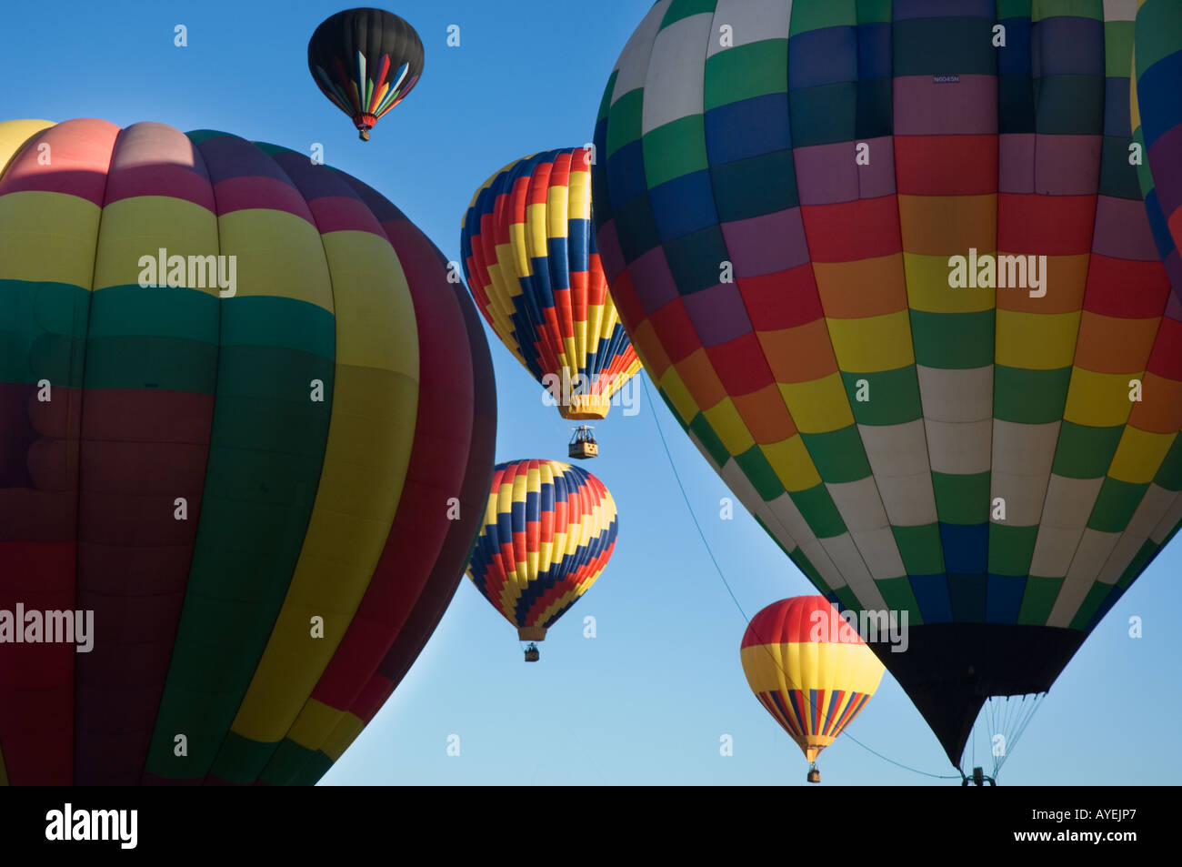 I palloni ad aria calda di lancio e in volo con il profondo blu del cielo e sunrise come sfondo. Balloon Fiesta di Albuquerque nel New Mexico Foto Stock