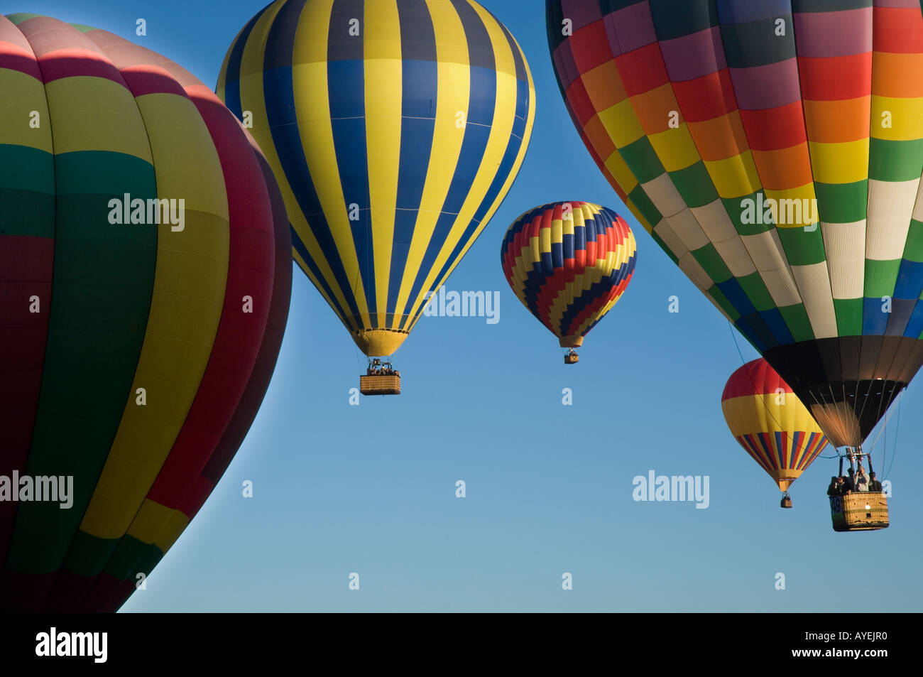 Grande gruppo di mongolfiere in volo con profondo cielo blu come sfondo. Balloon Fiesta di Albuquerque nel New Mexico U S Foto Stock