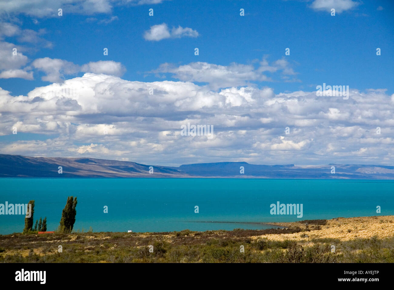 Lago Argentino vicino a El Calafate Patagonia Argentina Foto Stock