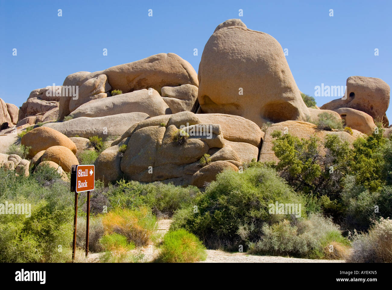Cranio Rock Joshua Tree National Park California USA Foto Stock