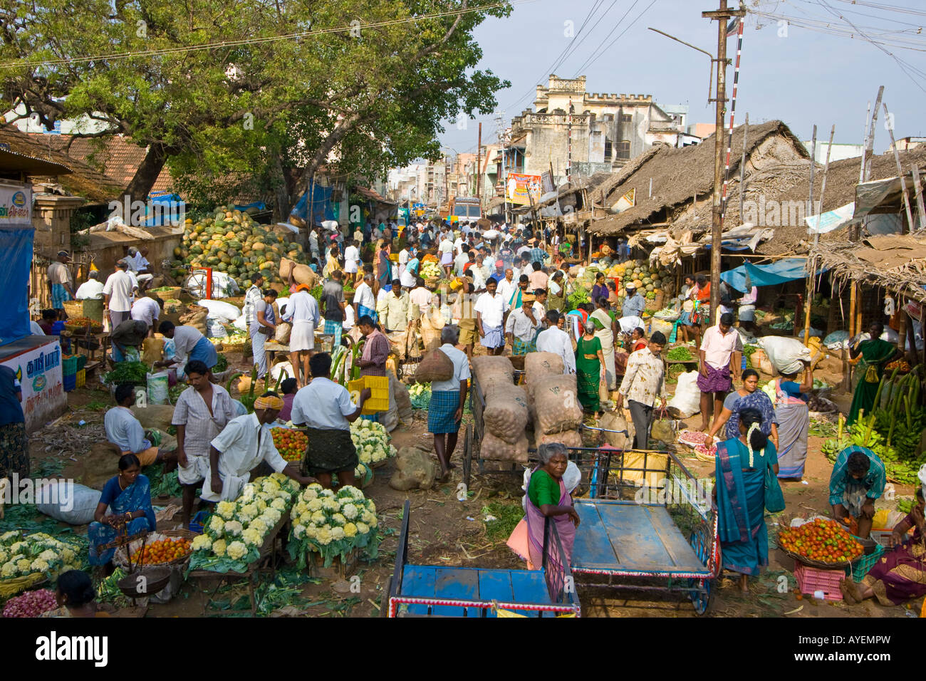 Affollato mercato ortofrutticolo in Madurai India del Sud Foto Stock