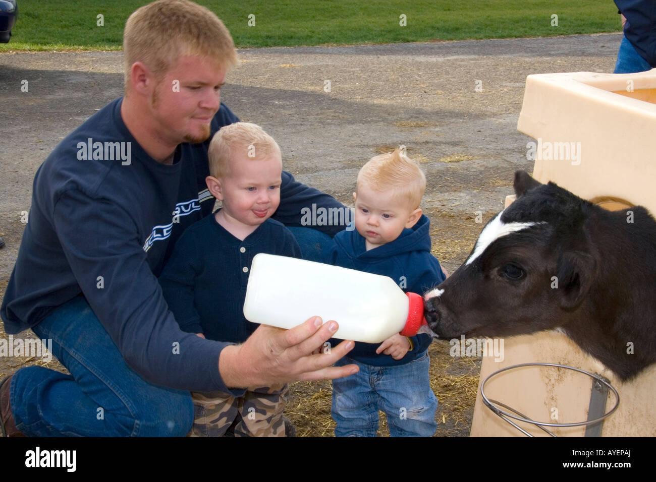 Un agricoltore e i suoi ragazzi la alimentazione di un caseificio di vitello con una bottiglia in una fattoria in Utah Foto Stock