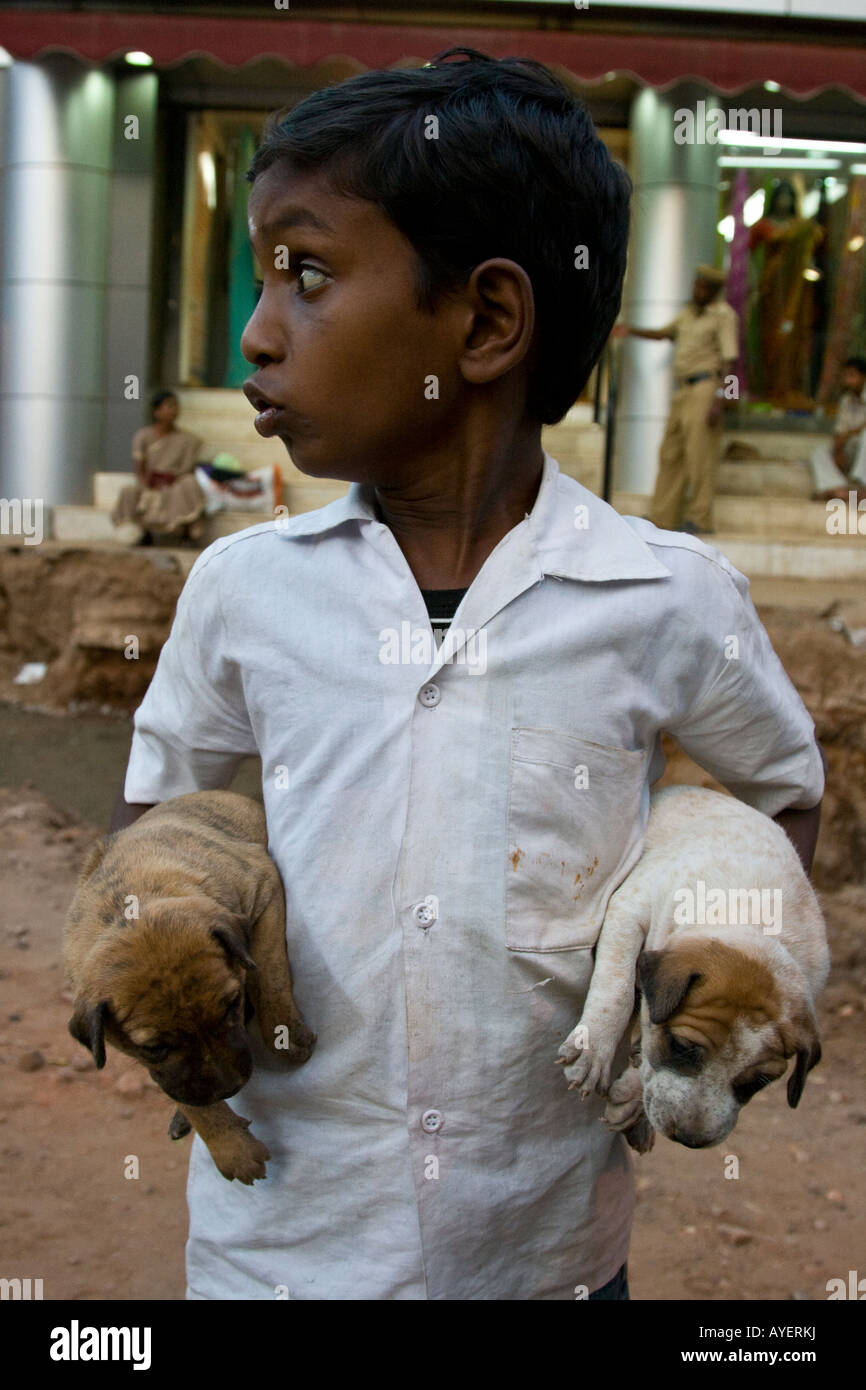 Ragazzo indiano con i cuccioli a Madurai India del Sud Foto Stock