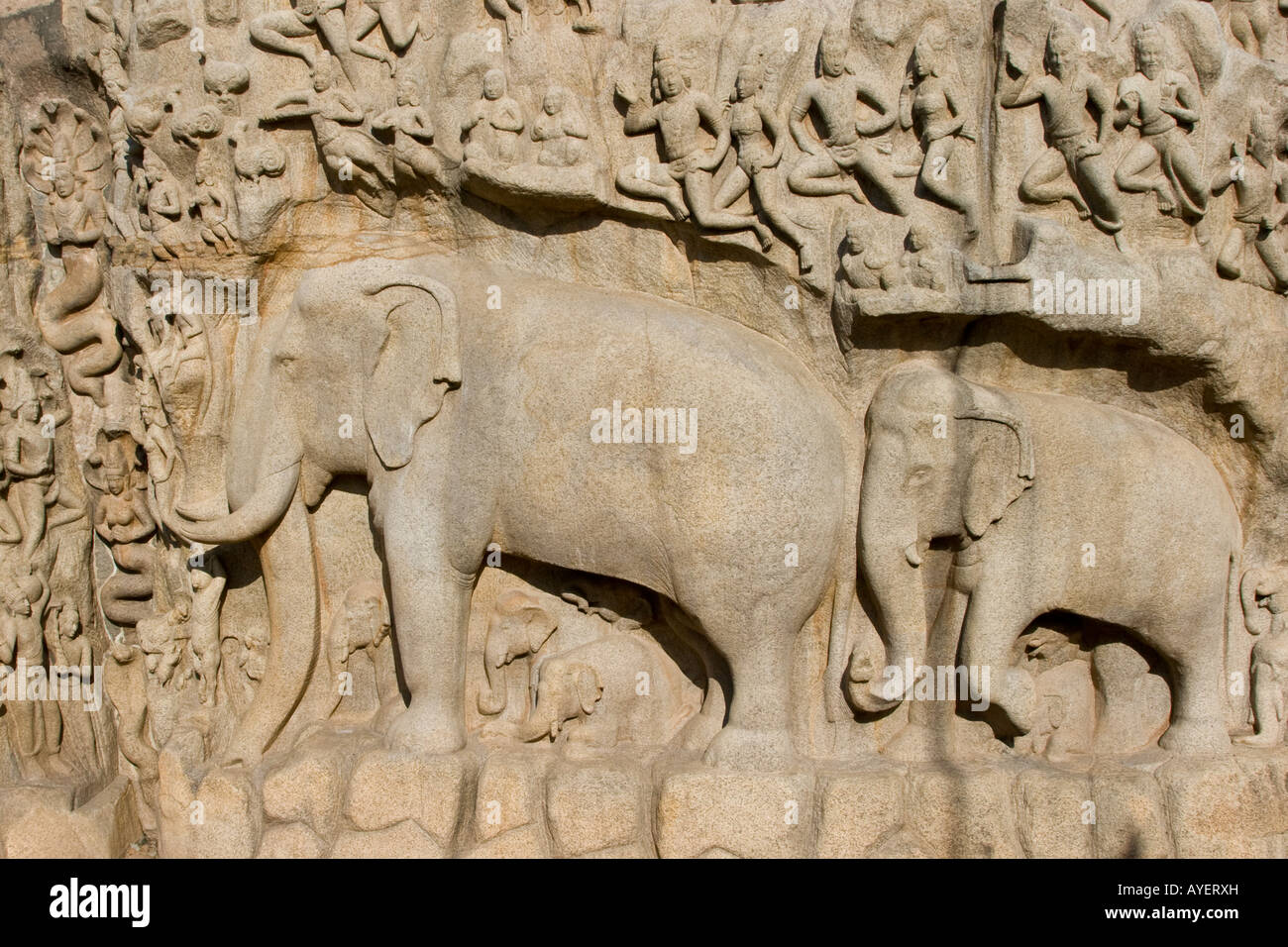 Arjunas penitenza sculture a bassorilievo in pietra a Mamallapuram India del Sud Foto Stock