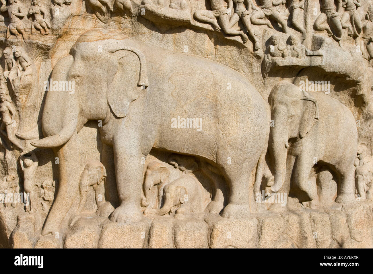 Arjunas penitenza sculture a bassorilievo in pietra a Mamallapuram India del Sud Foto Stock