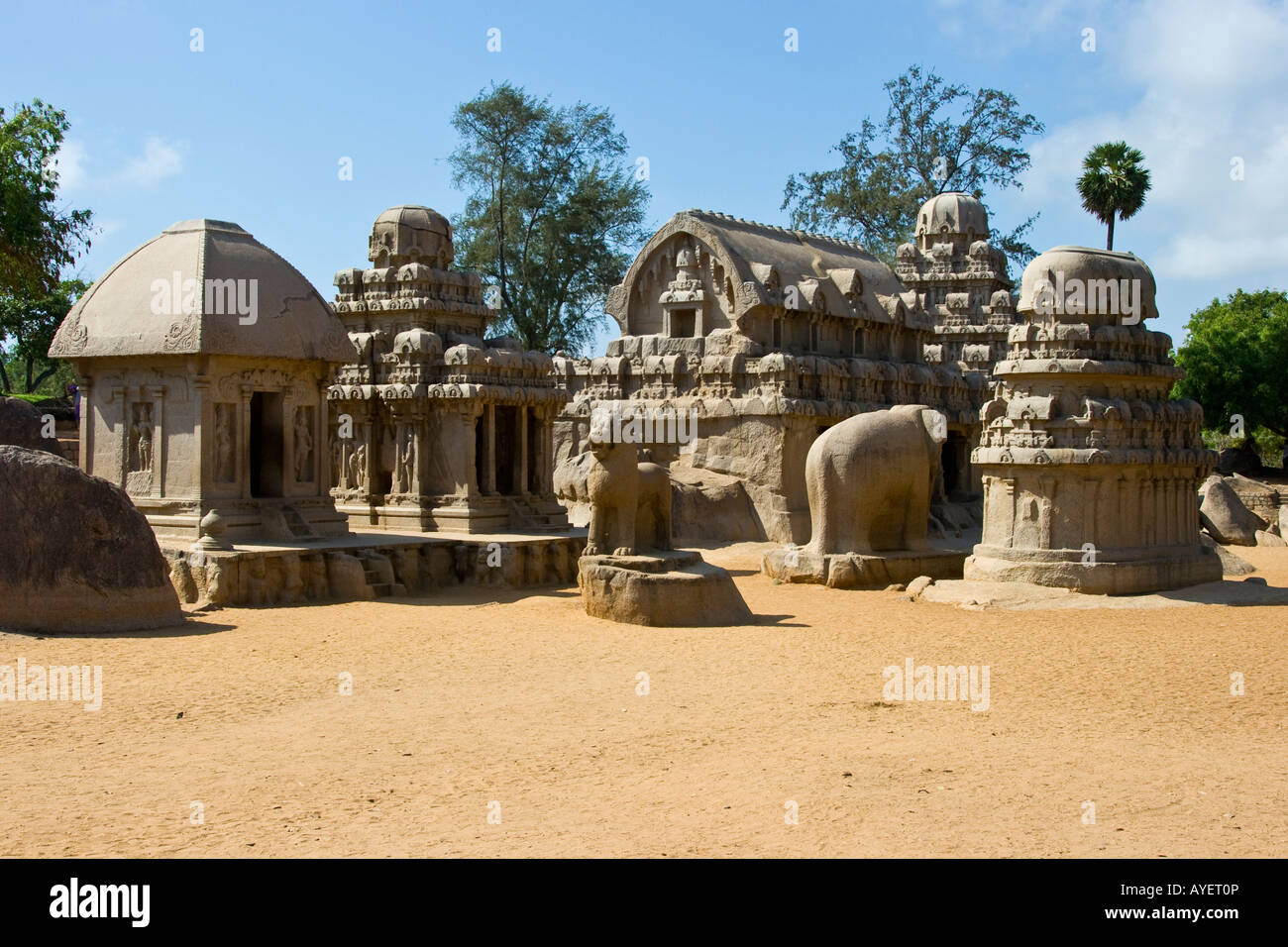 Cinque Rathas Mamallapuram in India del Sud Foto Stock
