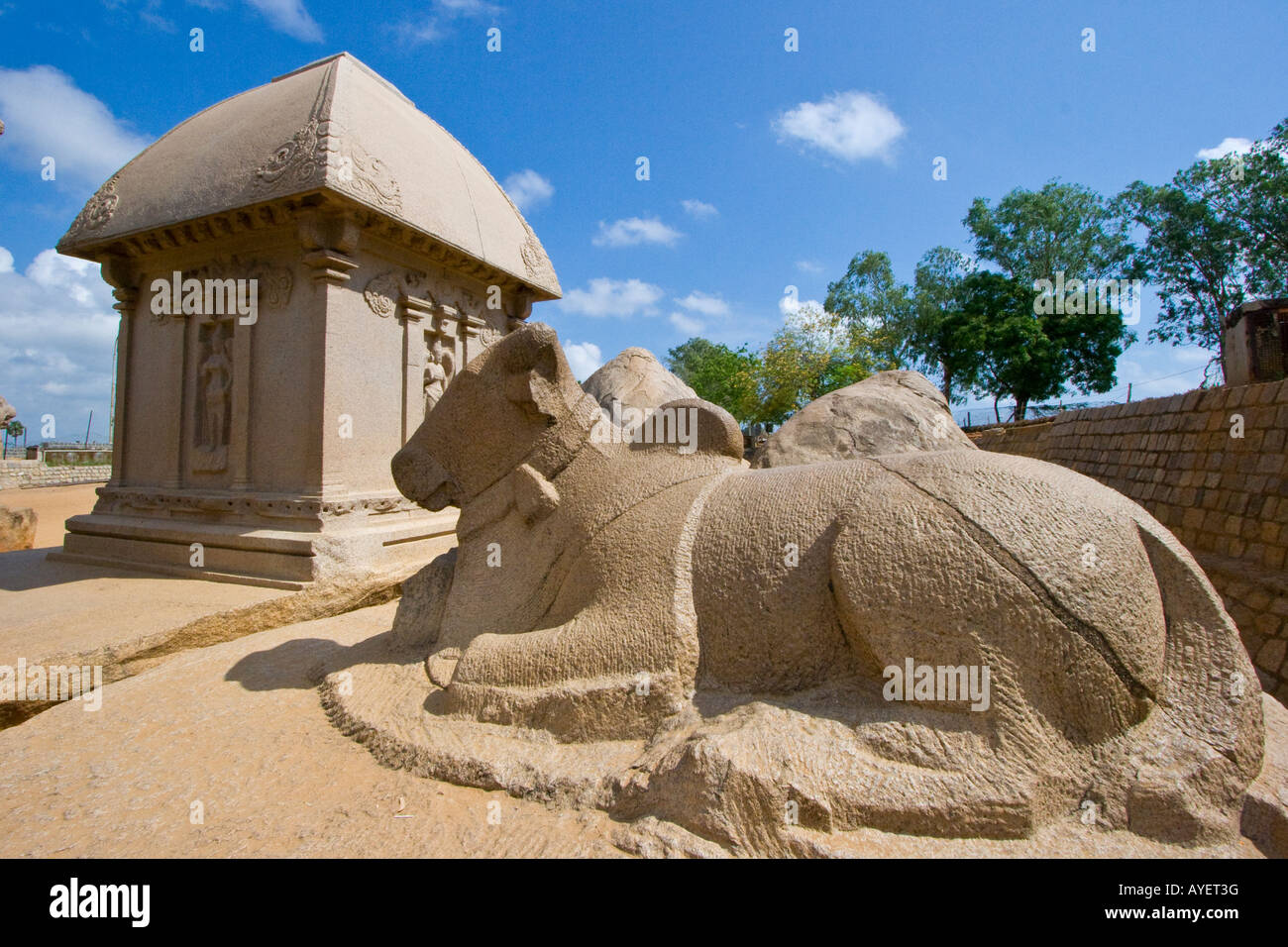 Nandi il Bull a cinque Rathas Mamallapuram in India del Sud Foto Stock