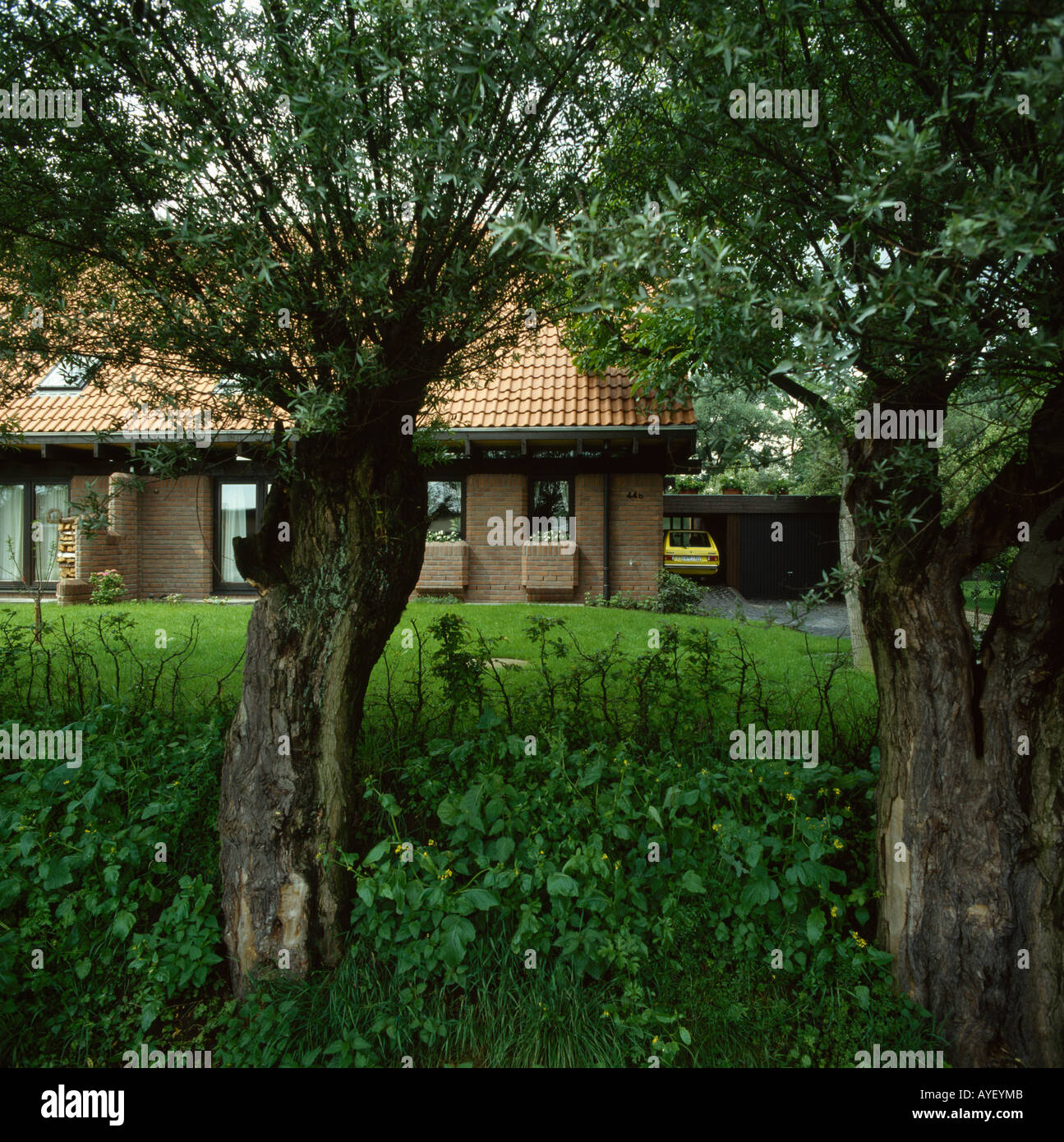 Due alberi di salice inquadratura vista della storia unica house Foto Stock