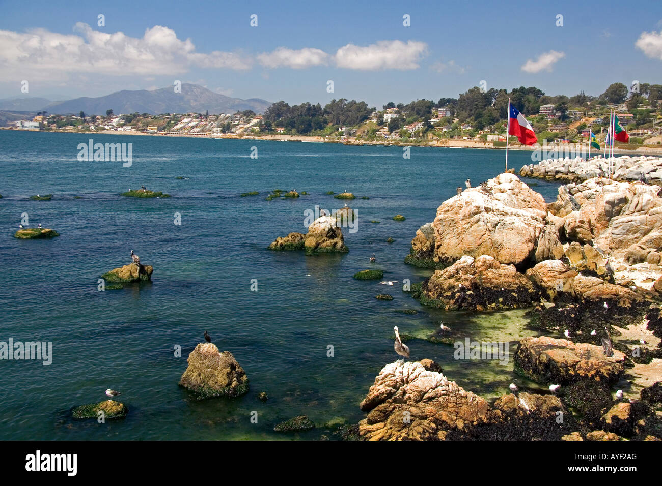 Scena costiere in Concon sull'oceano Pacifico in Cile Foto Stock